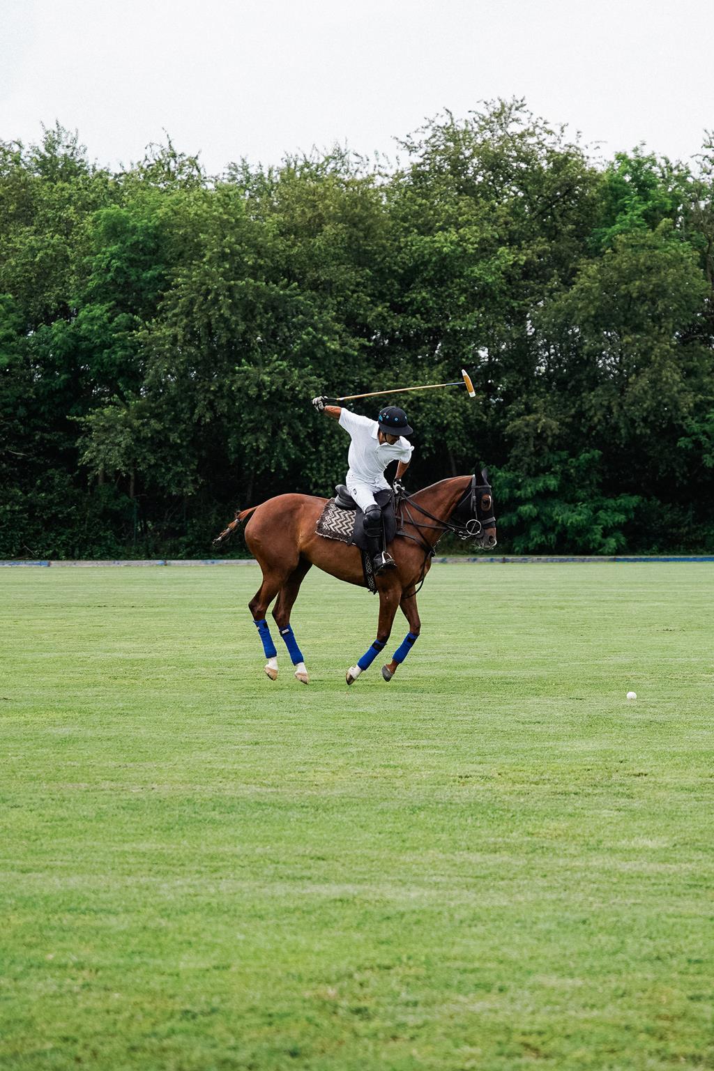 la martina nuova collezione polo