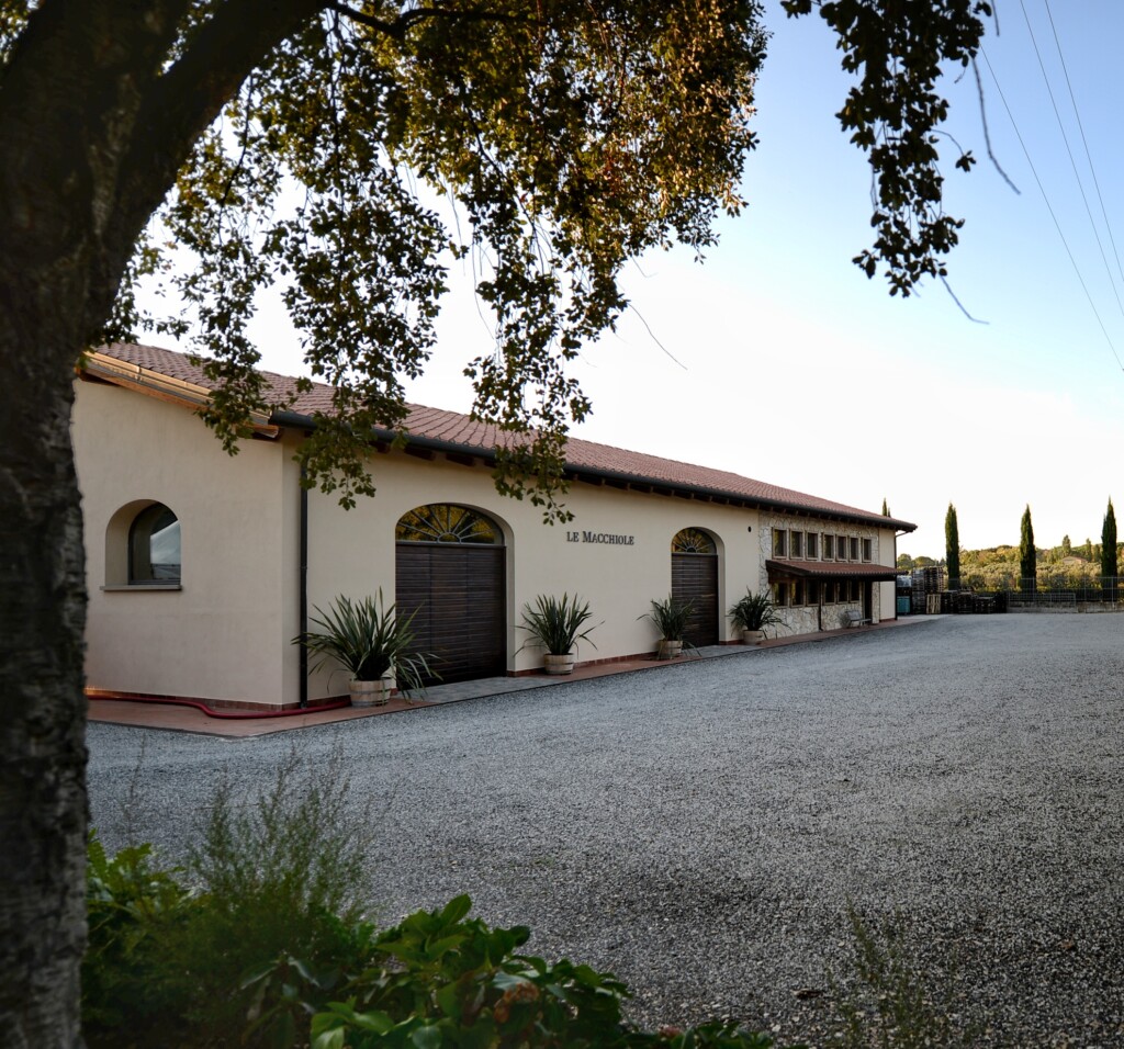 cantina vigneti le macchiole a bolgheri - toscana