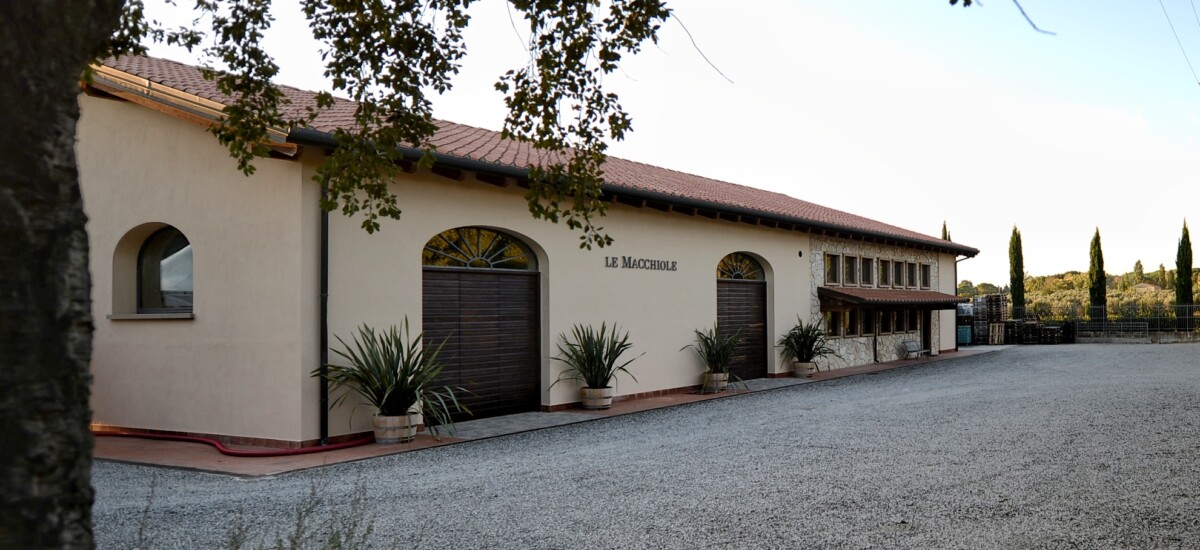 cantina vigneti le macchiole a bolgheri - toscana